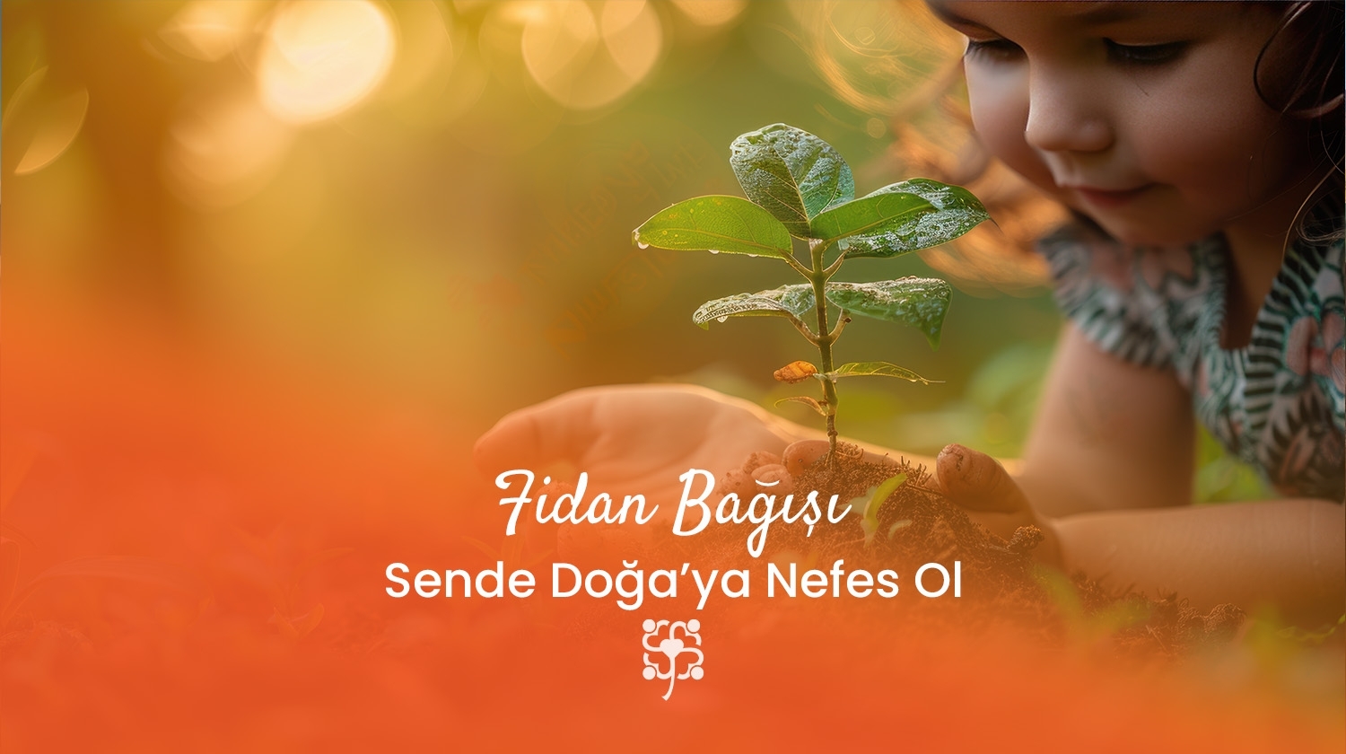 Fidan Bağışı