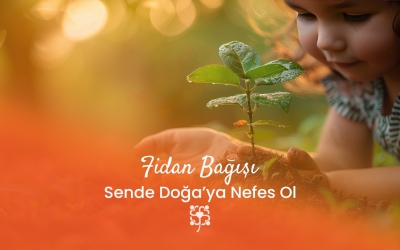 Fidan Bağışı